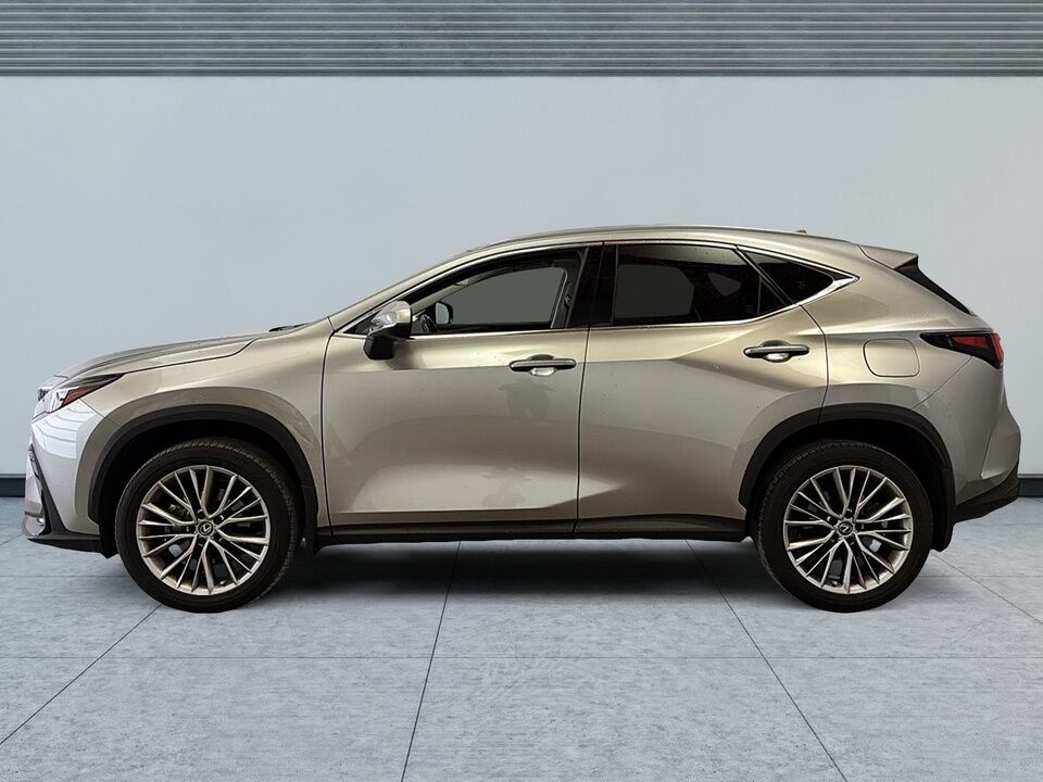 2022 Lexus NX  - Desmeules Chrysler