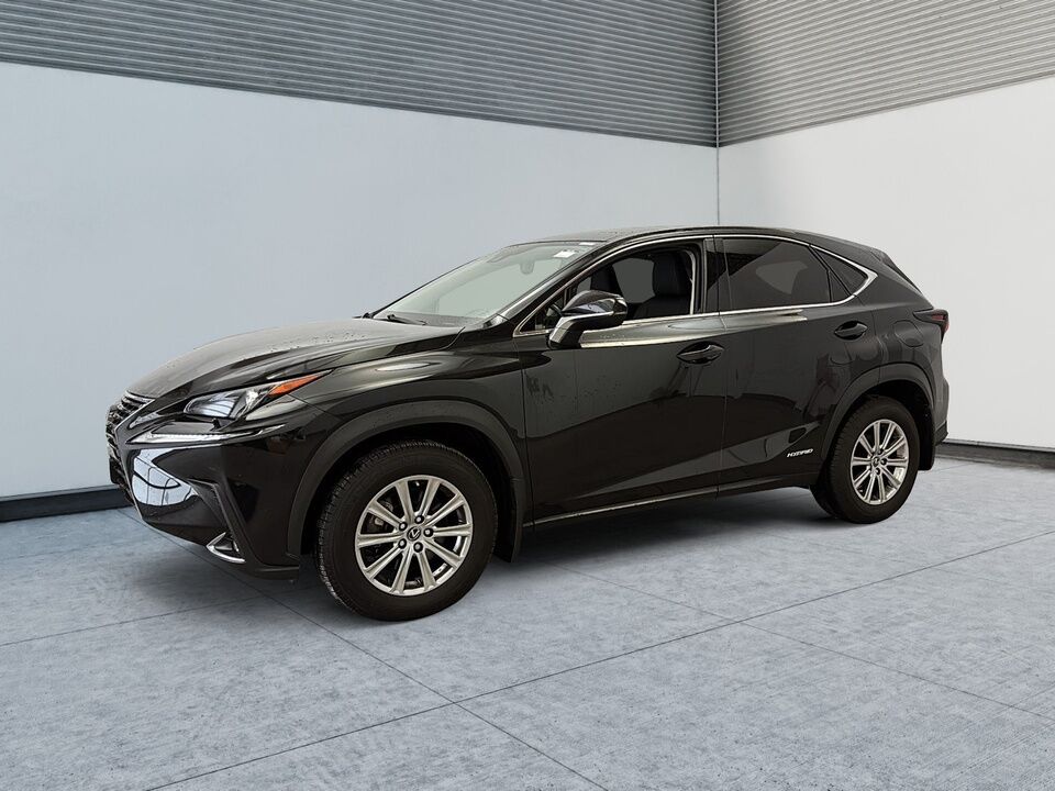 2020 Lexus NX  - Desmeules Chrysler