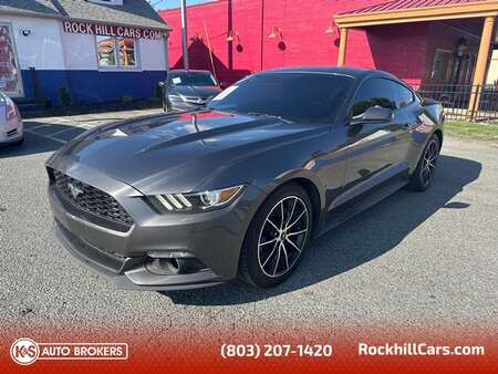 2015 Ford Mustang EcoBoost for Sale  - 3925  - K & S Auto Brokers