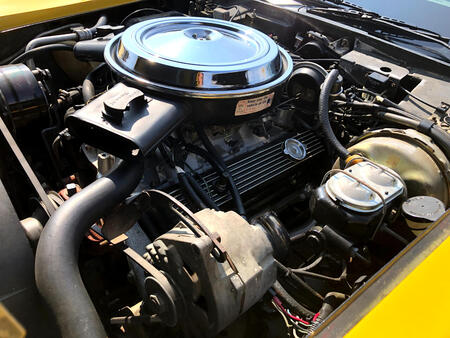 1981 Chevrolet Corvette  - Jasper Auto Sales