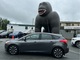 Thumbnail 2018 Ford Focus - Race Auto Group