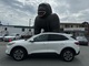 Thumbnail 2021 Ford Escape - Race Auto Group