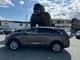 Thumbnail 2019 Kia Sorento - Race Auto Group