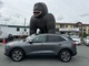 Thumbnail 2022 Ford Escape - Race Auto Group