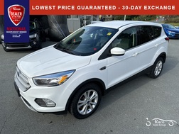 2019 Ford Escape  - 19262  - Race Auto Group