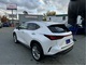 Thumbnail 2024 Lexus NX - Race Auto Group