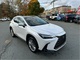 Thumbnail 2024 Lexus NX - Race Auto Group