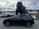 Thumbnail 2019 Nissan Rogue - Race Auto Group