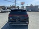 Thumbnail 2022 Kia Sportage - Race Auto Group