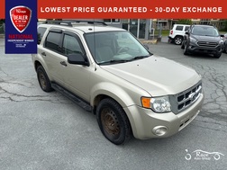 2010 Ford Escape  - 19232C2  - Race Auto Group