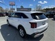 Thumbnail 2024 Kia Sorento - Race Auto Group